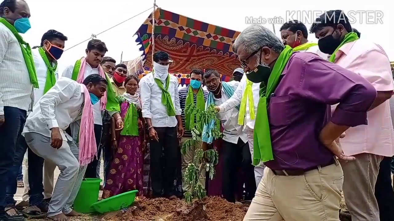 MLA Durgam Chinniah Haritha Haram Chinthaguga Village  .