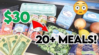 🚨 EXTREME BUDGET VEGETARIAN MEALS 💵 5 DINNERS FOR UNDER $30 🍴 CHEAP FAMILY MEALS @Jen-Chapin