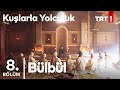 Bülbül | Kuşlarla Yolculuk 8. Bölüm