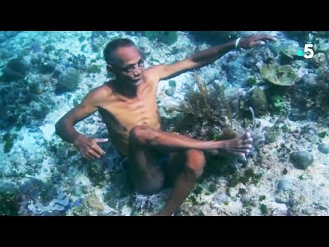 Vidéo: Manille : Plonger Avec Un Goût D'histoire