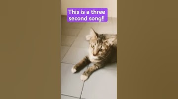 Thumbnail of this is a three second song #shorts