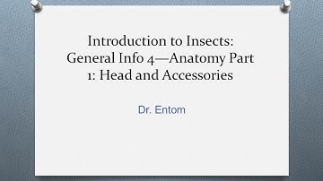 Introduction to Insects General Info 4 part 1