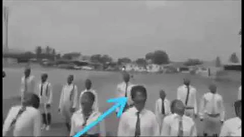 don’t follow your leader funny videos