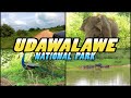 UDAWALAWE NATIONAL PARK Safari - Sri Lanka (4K)