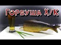 Горбуша холодного копчения. Пошаговый рецепт.