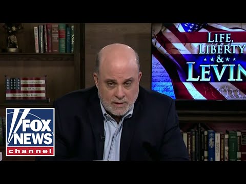 Levin: This was over documents, seriously?