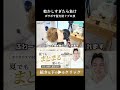 【ボサボサを防ぐ裏技】ドライヤーディフューザーの使い方