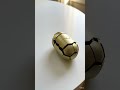 honey bee full transformation