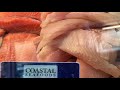 A proper seafood case presented by coastal seafoods