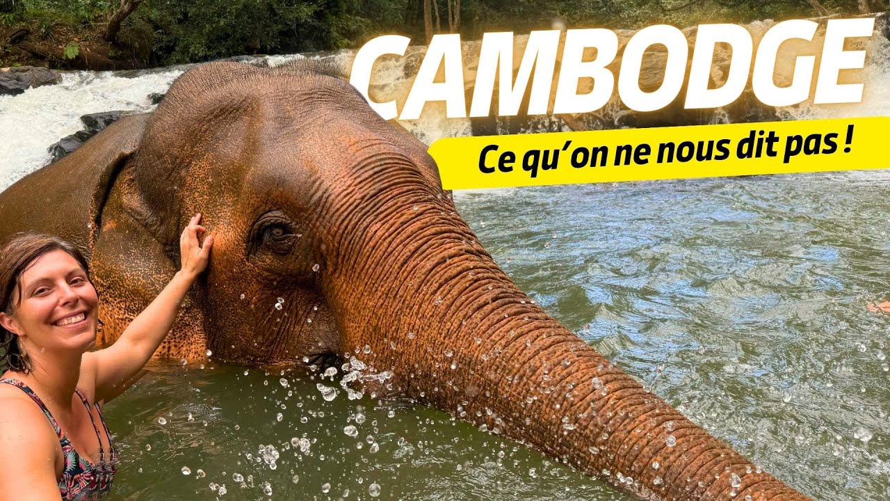 ON S'EST BAIGNÉS AVEC DES ÉLÉPHANTS AU CAMBODGE 🇰🇭 (Et ce n'était peut-être pas une bonne idée !)