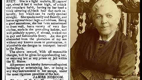 Chapter 7, Incidents in the Life of a Slave Girl by Harriet Jacobs, Full Text Narrated by Greducator