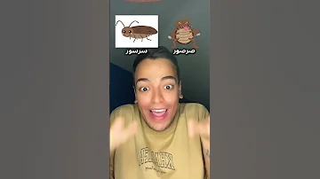 أغنية أنا بخاف من السرسور 