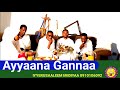 Qophii Ayyaana Gannaa Iyyerusaaleem Miidiyaa