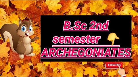 Archegoniates unit -1/ Botany Bsc 2nd semester/ unique features of Archegoniates