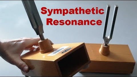 Tuning Fork Demonstration of Sympathetic Resonance #resonance #physicslab #wavesounds