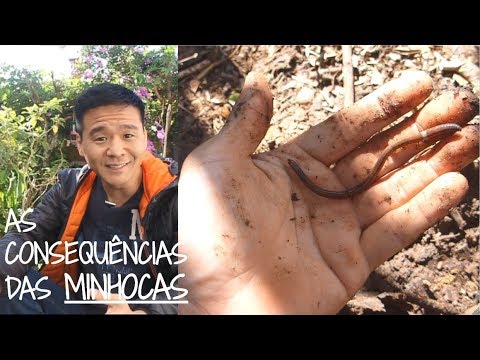 Vídeo: Montes de minhocas no quintal - Como eliminar as carcaças de minhocas de gramado