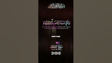 سورة الأحقاف Surah Al-Ahqaf #islamicstatus #اكسبلور #المصحف #quran #ilamicvideo #surah #راحة_نفسية