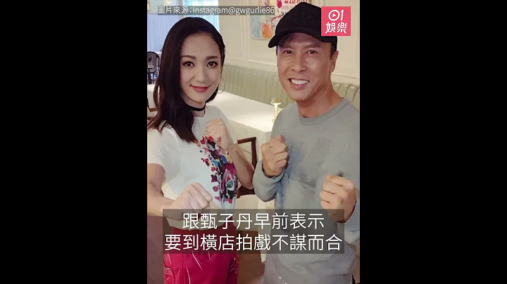 甄子丹新戏讲明女主角要纯天然　前TVB女星离巢后成电影女一 - 天天要闻