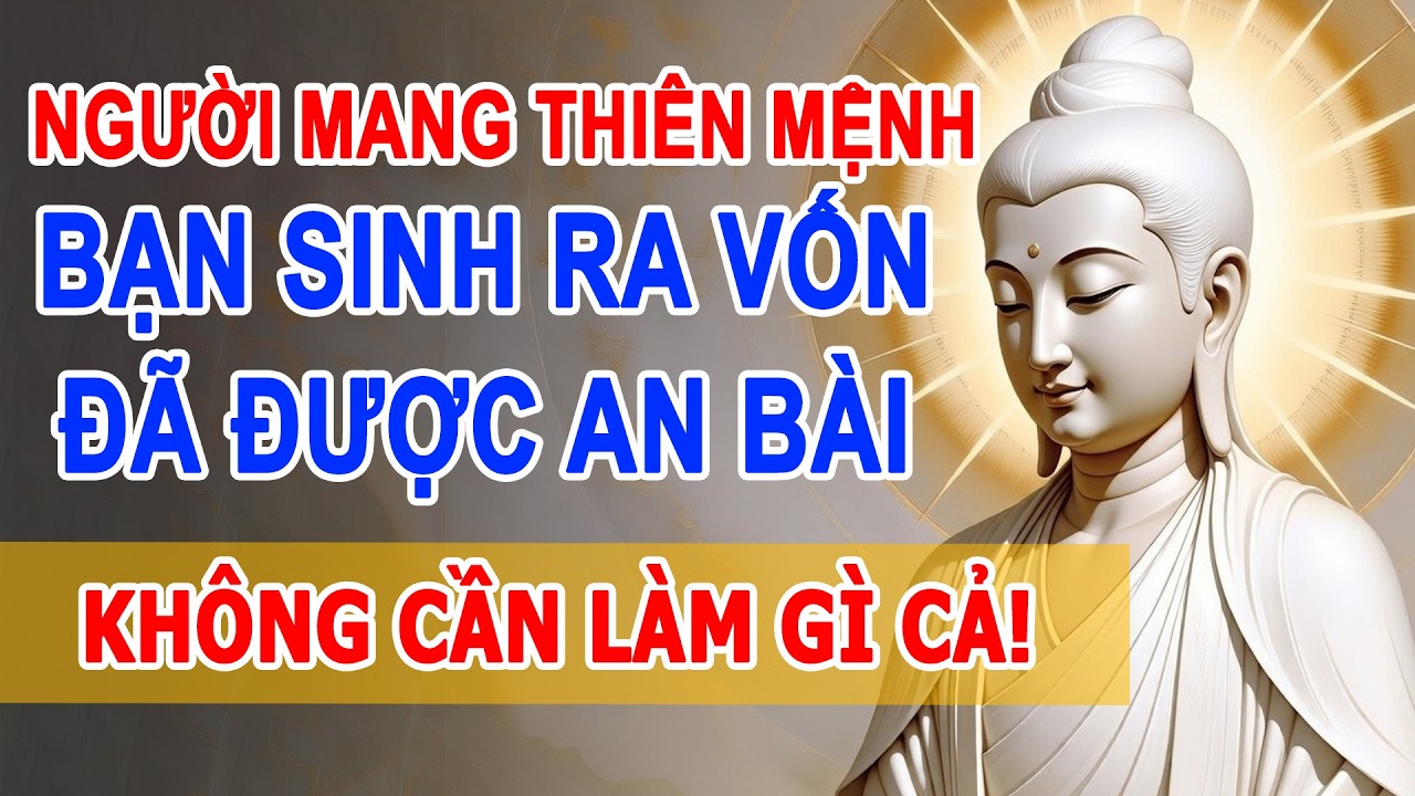Nếu Bạn Không Biết Làm Gì, Thì Đó Là Số Mệnh Của Bạn Vũ Trụ Đã An Bài #loidayconhan #trietlysong