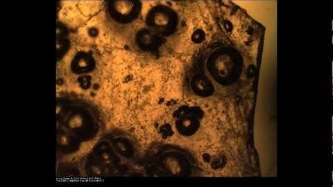 Bubble growth in magma