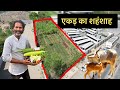     half acre farming  100 varieties  organic farming  hello kisaan