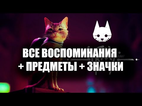 Видео: 12 лучших занятий в Мидтауне Мемфиса