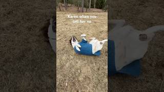 Famous Karen doesn’t like being told no! #dogs #karen #meme #funny #manager #dogs #shorts Wealth