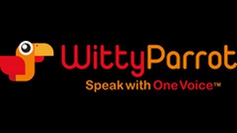 WittyParrot Introduction