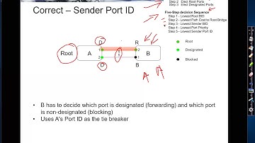 STP Sender Port ID