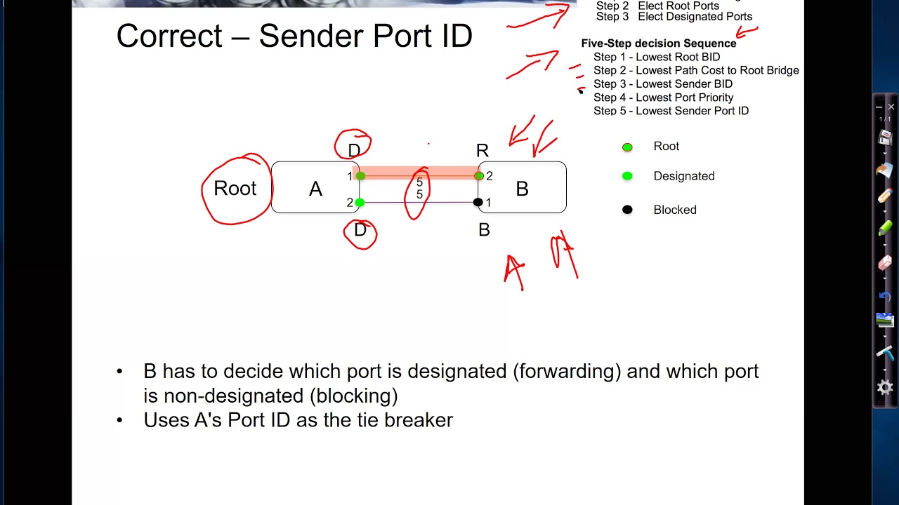 STP Sender Port ID YouTube