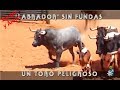 Labrador Sin Fundas, Un Toro Peligroso.