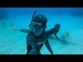 Spearfishing Bahamas 2020