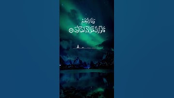 تلاوة خاشعة من سورة المطففين بصوت القارئ : عمير شميم