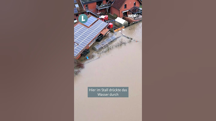 Schweine vor der Flut retten 🐷🙏