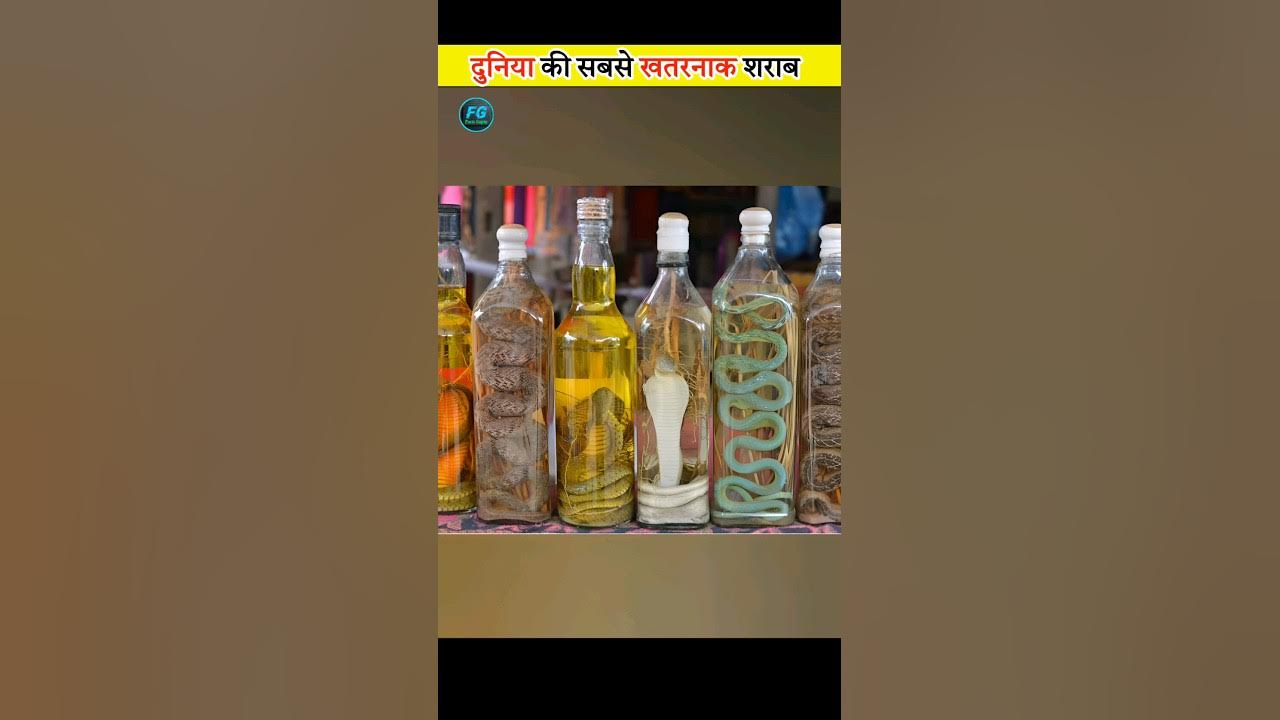 World Most Dangerous Wine 🍷 YouTube