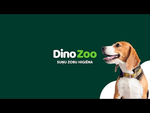Dino Zoo ekspertu padomi  par suņu zobu kopšanu