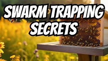Mastering Honeybee Swarm Trapping - A Comprehensive Guide from Start to Finish!
