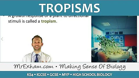 Coordination and Response - Plants - Tropisms - GCSE Biology (9-1)