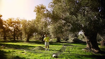 Naxos - A World to Experience