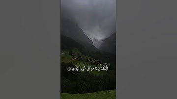سورة الحجر #هزاع_البلوشي #المصحف #explore #edit #اكسبلور