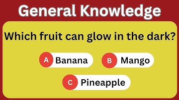 The Ultimate General Knowledge Quiz! Test Your Brain!