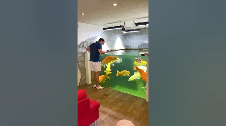 Amazing Indoor Koi Pond! - DayDayNews