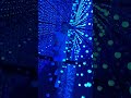 Surrounded by lights