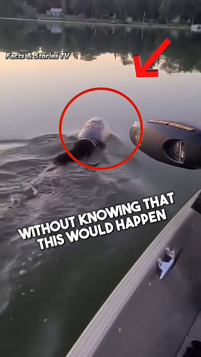 This familly were at the right place to save the bear life #shorts  #curiosidades