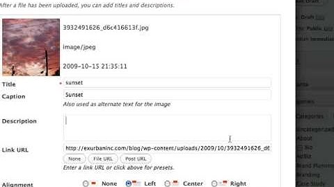 Inserting and Editing Images in WordPress Posts