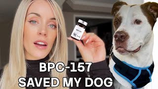 bpc 157 and tb 500 for dogs BPC-157 SAVED My Dogs Life-Peptides Are The Future!