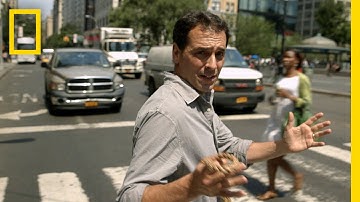 Top 5 Jaywalkers | Crowd Control