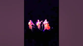 Hundred Dollars - Punch Brothers Hundred Dollars - Punch Brothers
