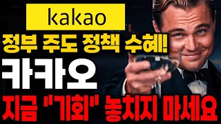 [카카오 주가전망] 🔴정부 주도 정책 수혜!🔴 지금 이 