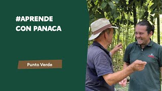 Punto Verde #AprendeConPANACA